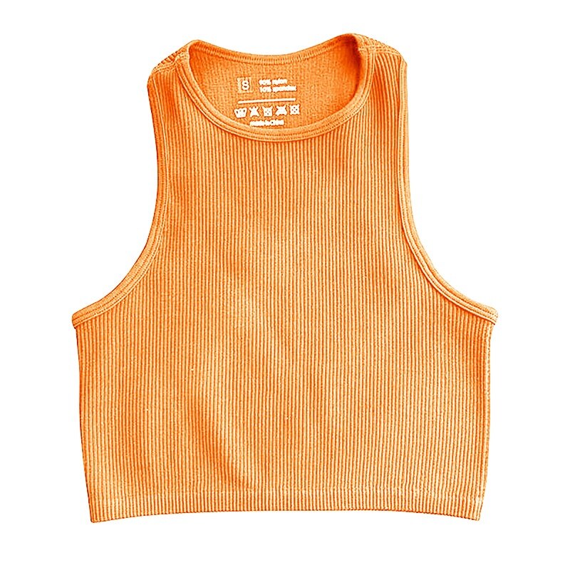Sport Seamless Sleeveless Crop Top