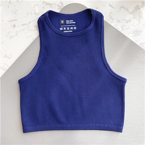 Sport Seamless Sleeveless Crop Top