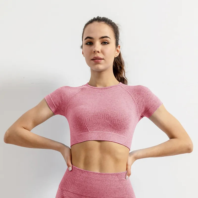 Women Seamless Sports Gym Cropped Tops