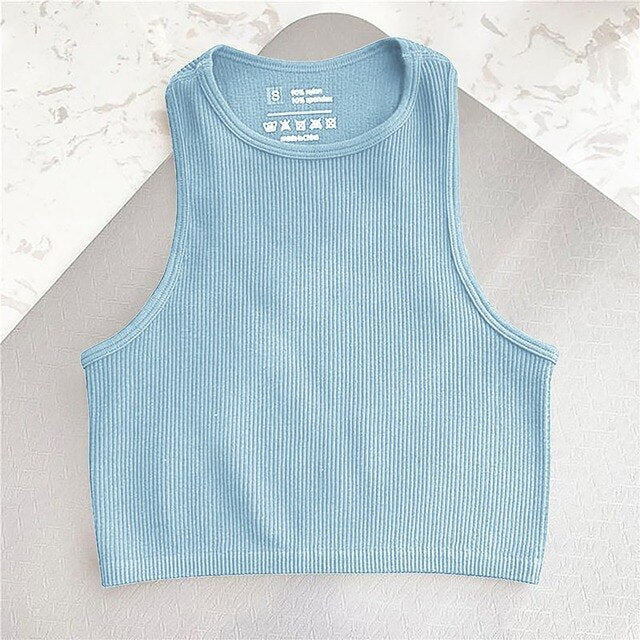 Sport Seamless Sleeveless Crop Top