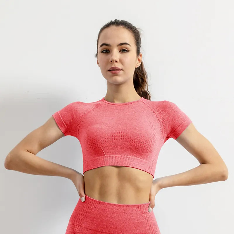 Women Seamless Sports Gym Cropped Tops
