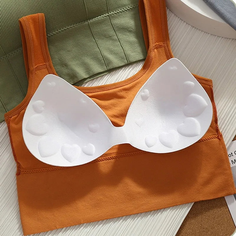 Breathable Seamless Sports Bra/ Shockproof Crop Top & Anti-Sweat