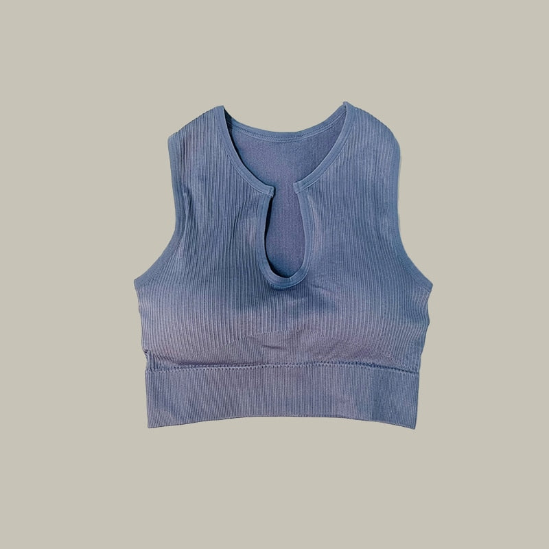 Fitness Seamless Shorts and Sports Bra(sold separately)