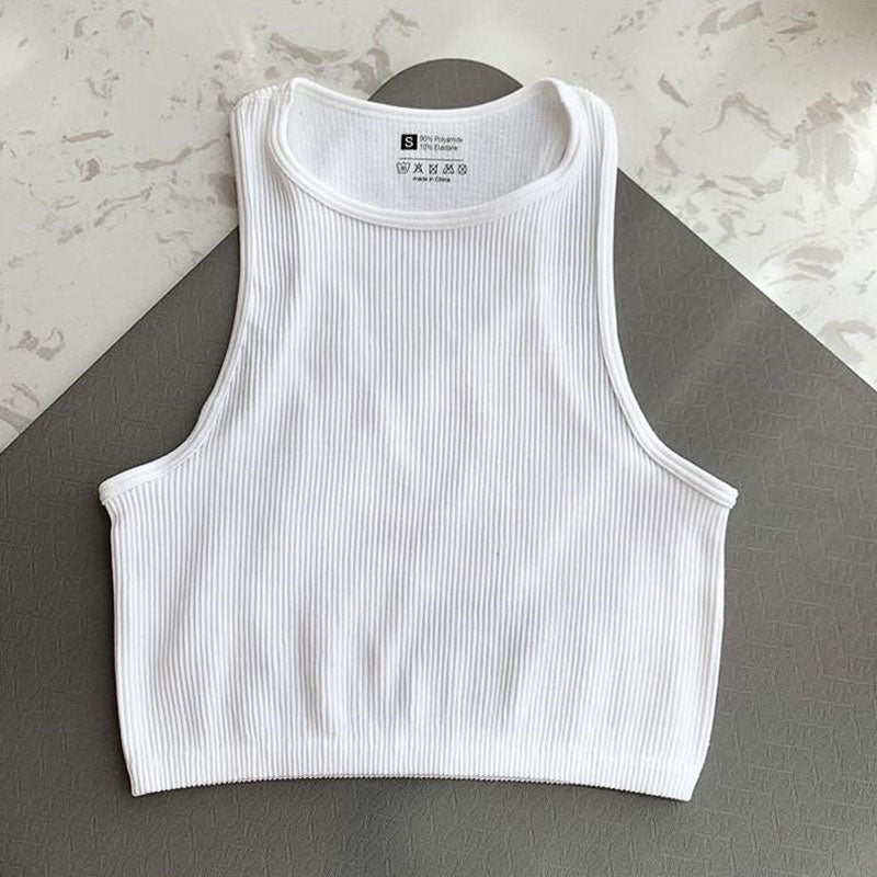 Sport Seamless Sleeveless Crop Top